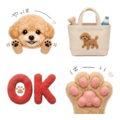 Life with Kinako the Toy Poodle