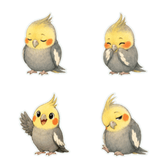 玄鳳鸚鵡繪本風1A