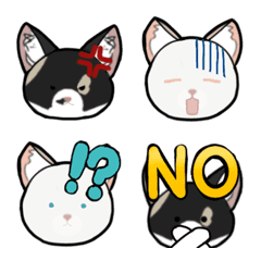 Anko and Kinako's Daily Life