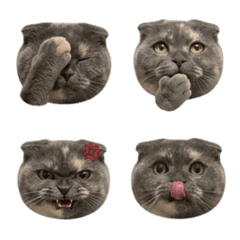 TheGary_TheCat Emojis