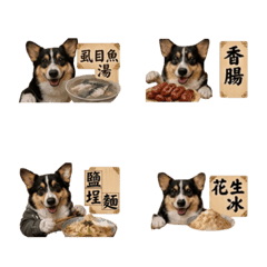 柯基黑寶高雄隨便吃