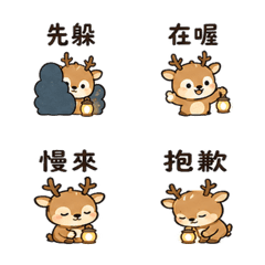 小燈鹿｜夜間陪伴