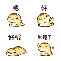 布丁蜥｜懶懶答覆