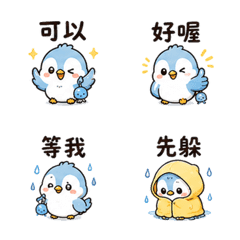雨鈴鳥｜雨天短回