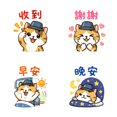 小桶貓｜忙碌回覆 – LINE表情貼 LINE商品圖片