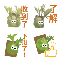 ビカク愛好家のための繁体語絵文字
