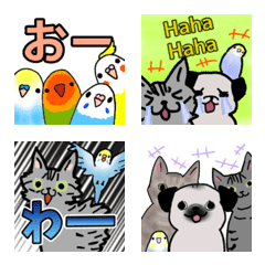 パグとネコとインコ達