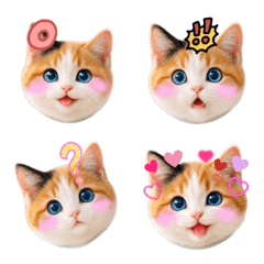 Mike the Calico Cat: Animated Emoji