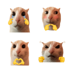 Silly Goofy Dip Catto Emoji