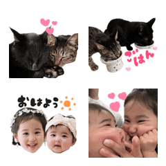 はやし家