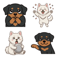 Rottweiler & White Shepherd 3