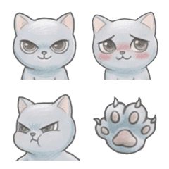 e-No.25 Russian Blue