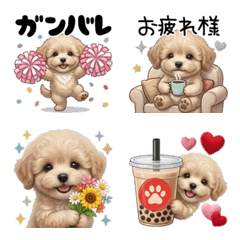 Fabric Daily Fluffy Maltese Toy Poodle2