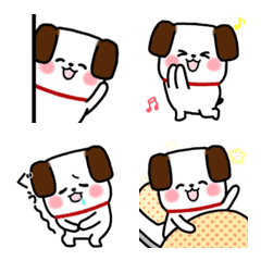 Wanta,the moving white dog 3