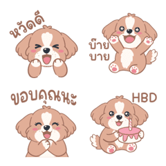 Maru Soft Shih Tzu Ver.Thai