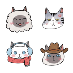buddy's Cats