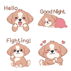 Maru Soft Shih Tzu