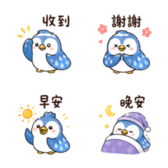 Rain Pocket Bird Rainy Reply