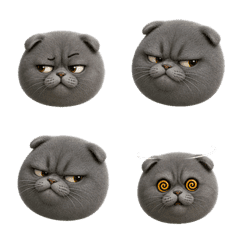 Mochi Fold Cat Emoji Many Moods