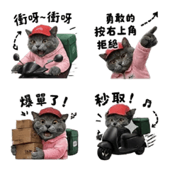 ロシアンブルーの猫：配達員の日記