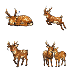 Sika Deer: Laugh, Sing, Sleep