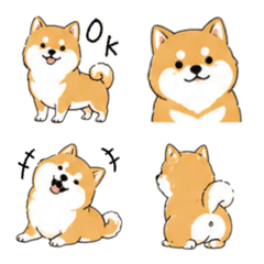 Yurukawa shiba