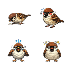 Sparrows: Laugh, Sing, Sleep, etc.