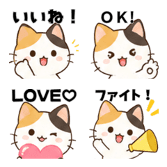 our cat  2