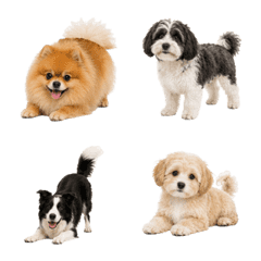 動く！しっぽふりふり犬