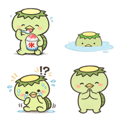 kappa in summer