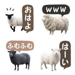 Fluffy Sheep Greetings & Reactions