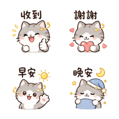 小軌道貓｜忙碌短回