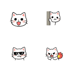 Too Expressive Cat