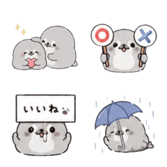 A cute seal