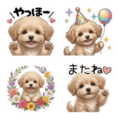 Fabric Daily Fluffy Maltese Toy Poodle3
