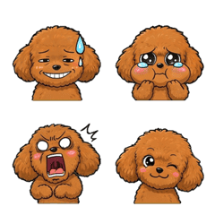 bouncy fluffy poodle