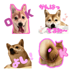 OKOKOK