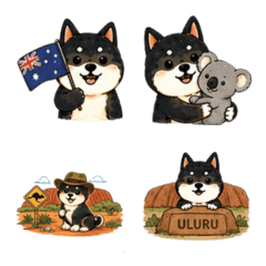 Kuroshiba Inu in Australia