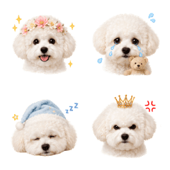 Bichonpoo emoji2