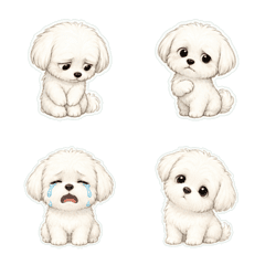 瑪爾濟斯犬線稿淡彩1A
