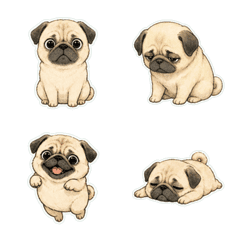巴哥犬線稿淡彩1A