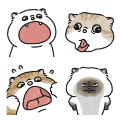 Oba cat - Funny Emoji