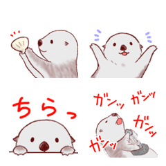 Fluffy & Chill! Sea Otter