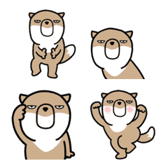Moving Emoji Pretty Vulpes ferrilata