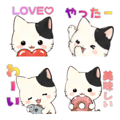 our cat  4