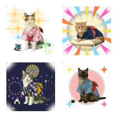 Cozy Yukata Cats at Japanese Inn