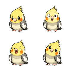 玄鳳鸚鵡粗線條1A