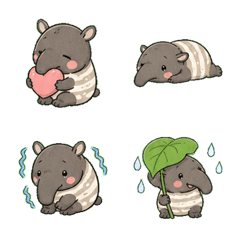 Bashful Tapir