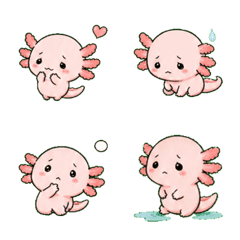 Shy Axolotl