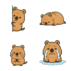 Cheerful Quokka